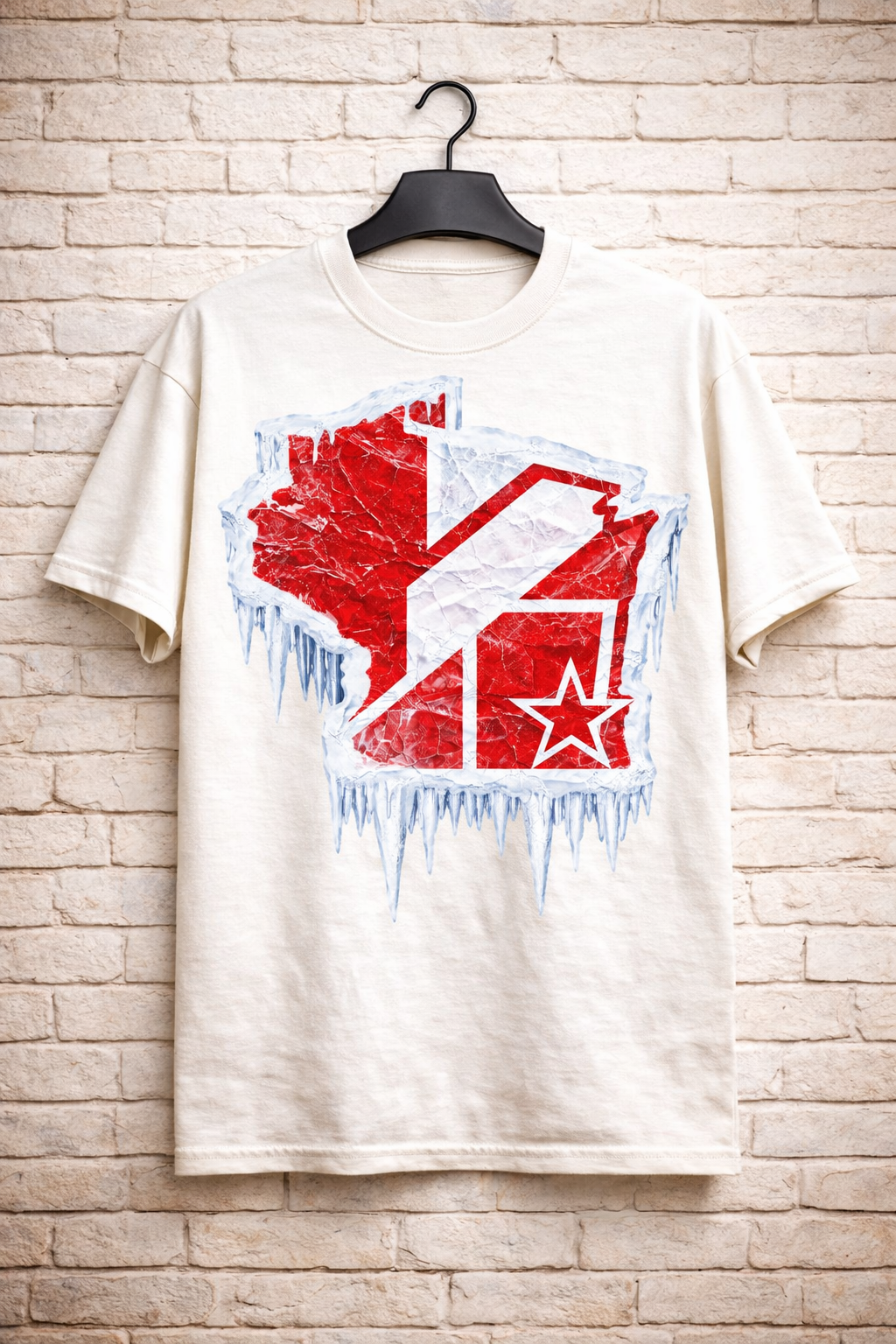 Wisconsin Frozen Heavyweight Streetwear Tee – Red & White
